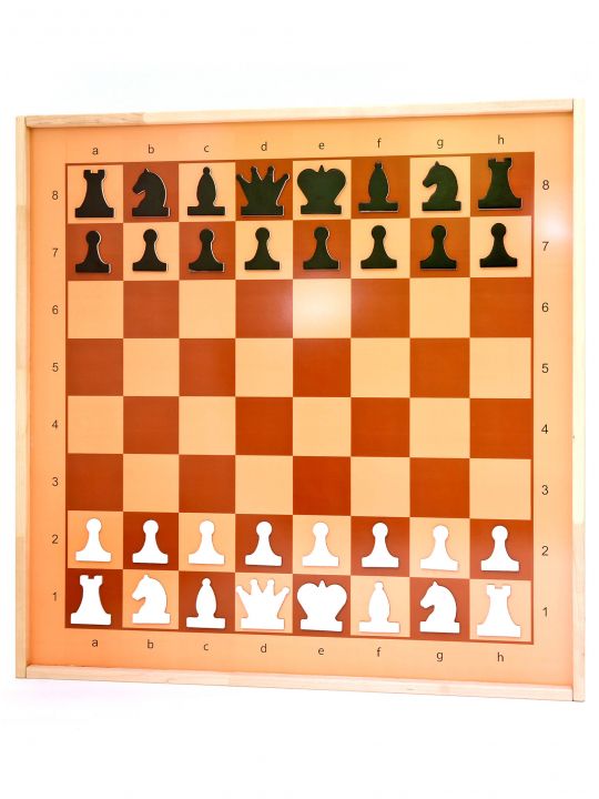 Демонстрационные магнитные шахматы