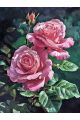 Алмазная мозаика без подрамника «Розы» 50x40 см.