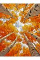 Алмазная мозаика без подрамника «Золотая осень» 40x30 см, 50 цветов