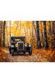 Алмазная мозаика без подрамника «Золотая осень» 25x20 см