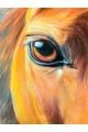 Алмазная мозаика без подрамника «Око Мустанга» 50x40 см.