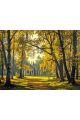 Алмазная мозаика без подрамника «Времена года» 25x20 см