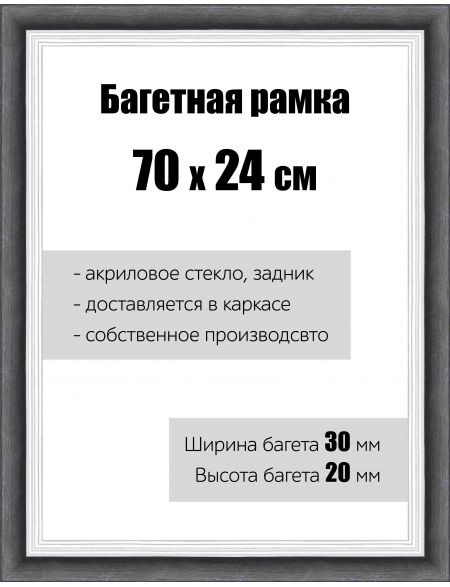 Рамка багетная для картин со стеклом 70 x 24 см, РБ-112