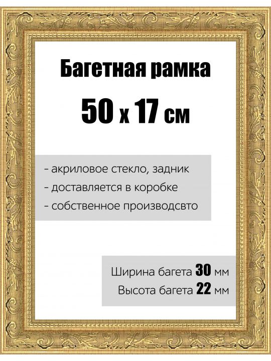 Рамка багетная для картин со стеклом 50 x 17 см, РБ-149
