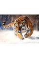 Алмазная мозаика без подрамника «Дикий мир» 25x20 см, 40 цветов