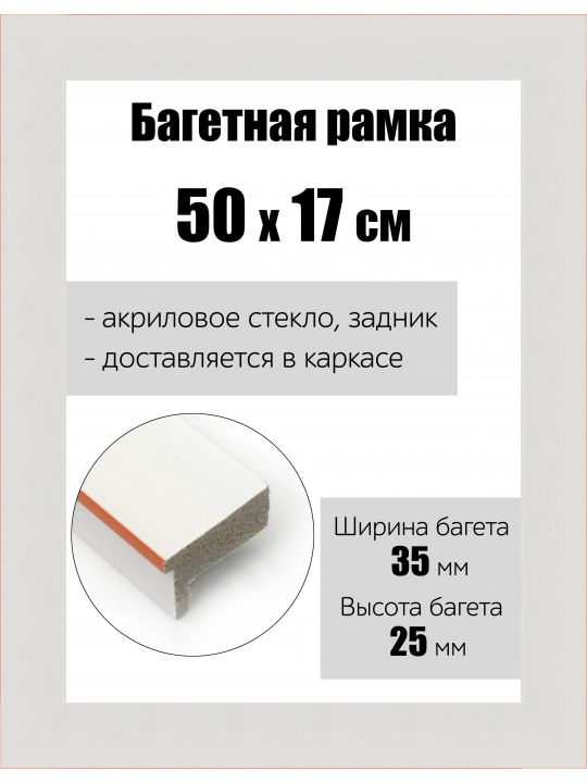 Рамка багетная для картин со стеклом 50 x 17 см, РБ-148