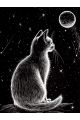 Алмазная мозаика без подрамника «Лунный кот» 50x40 см