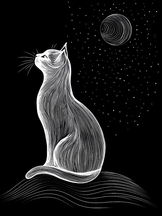 Алмазная мозаика без подрамника «Лунная кошка» 40x30 см, 14 цветов