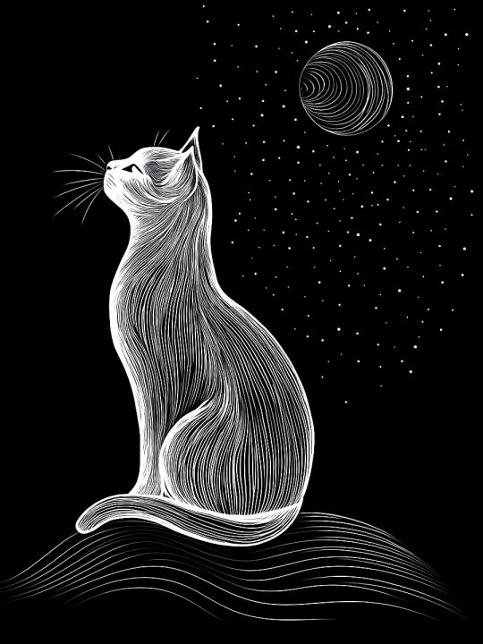 Алмазная мозаика без подрамника «Лунная кошка» 50x40 см