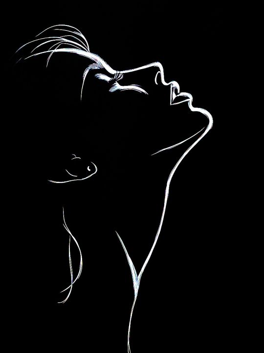 Алмазная мозаика без подрамника «Страсть» 25x20 см