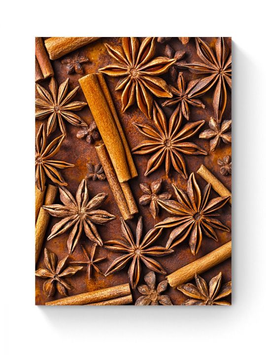 Алмазная мозаика на подрамнике «Корица и бадьян» 50x40 см