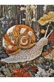 Алмазная мозаика без подрамника «Улитка» 130x100 см