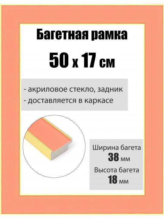 Рамка багетная для картин со стеклом 50 x 17 см, РБ-167
