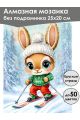Алмазная мозаика без подрамника «Лыжник» 25x20 см