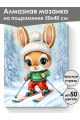 Алмазная мозаика на подрамнике «Лыжник» 50x40 см