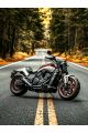 Алмазная мозаика без подрамника «Мотоцикл» 130x100 см