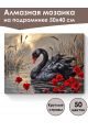 Алмазная мозаика на подрамнике «Черный лебедь» 50x40 см, 50 цветов