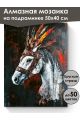 Алмазная мозаика на подрамнике «Конь вождя» 50x40 см