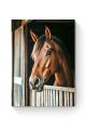 Алмазная мозаика на подрамнике «Жеребец» 50x40 см