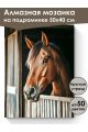 Алмазная мозаика на подрамнике «Жеребец» 50x40 см, 50 цветов