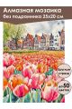 Алмазная мозаика без подрамника «Амстердам» 25x20 см