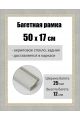 Рамка багетная для картин со стеклом 50 x 17 см, РБ-159