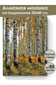 Алмазная мозаика на подрамнике «Березовая роща» 50x40 см