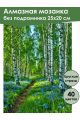 Алмазная мозаика без подрамника «Лесная тропинка» 25x20 см
