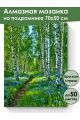 Алмазная мозаика на подрамнике «Лесная тропинка» 70x50 см, 50 цветов