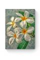 Алмазная мозаика на подрамнике «Цветок плюмерия» 50x40 см