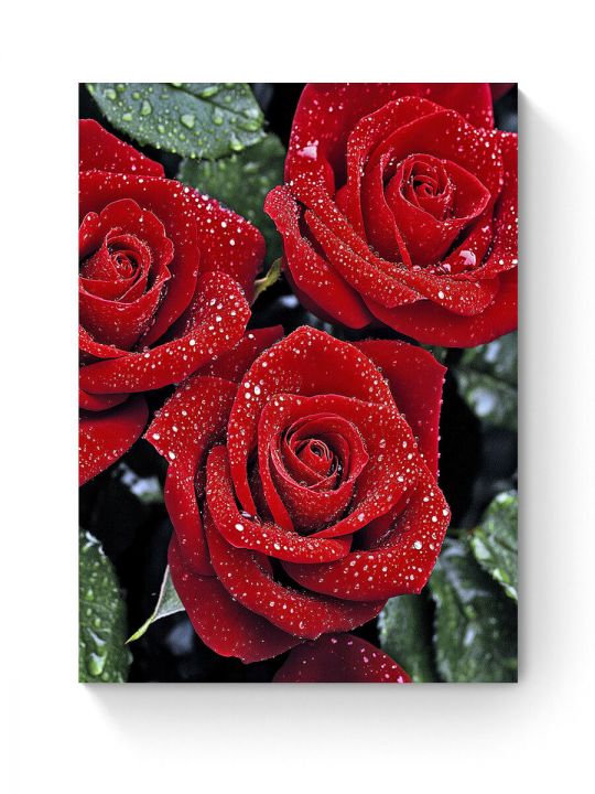 Алмазная мозаика на подрамнике «Красные розы» 70x50 см, 50 цветов