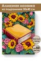 Алмазная мозаика на подрамнике «Книга знаний» 50x40 см