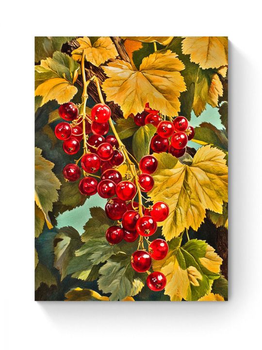 Алмазная мозаика на подрамнике «Смородина» 50x40 см