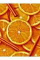 Алмазная мозаика без подрамника «Сочный апельсин» 25x20 см