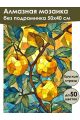 Алмазная мозаика без подрамника «Золотое яблоко» 50x40 см, 50 цветов
