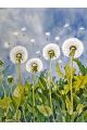 Алмазная мозаика без подрамника «Одуванчики» 70x50 см