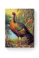 Алмазная мозаика на подрамнике «Дикая индейка» 50x40 см