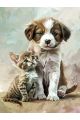 Алмазная мозаика без подрамника «Щенок и котенок» 25x20 см