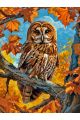 Алмазная мозаика без подрамника «Совушка» 50x40 см