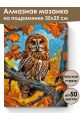 Алмазная мозаика на подрамнике «Совушка» 35x25 см, 50 цветов