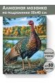 Алмазная мозаика на подрамнике «Дикая индейка» 50x40 см