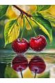 Алмазная мозаика без подрамника «Спелая вишня» 25x20 см