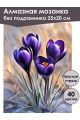 Алмазная мозаика без подрамника «Первоцветы» 25x20 см