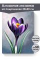 Алмазная мозаика на подрамнике «Цветок крокус» 50x40 см