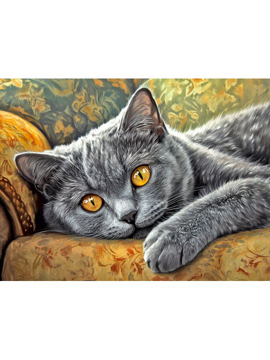 Алмазная мозаика без подрамника «Британский кот» 50x40 см