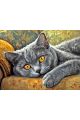 Алмазная мозаика без подрамника «Британский кот» 50x40 см