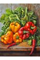 Алмазная мозаика без подрамника «Спелый перец» 50x40 см, 50 цветов