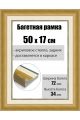 Рамка багетная для картин со стеклом 50 x 17 см, РБ-201