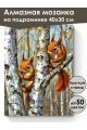 Алмазная мозаика на подрамнике «Две белочки» 40x30 см, 50 цветов