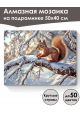 Алмазная мозаика на подрамнике «Белка на ветке» 50x40 см